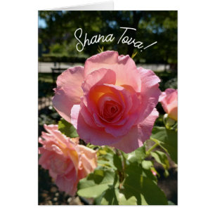Radiant Pink Tee Rose Rosh Hashanah Card