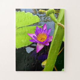 Radiant Purple Water Lily in Tranquil Pond Puzzle