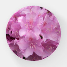 Radiant Rhododendrons Paperweight