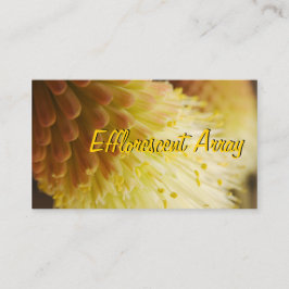 Radiant Torch Lily Visitenkarte