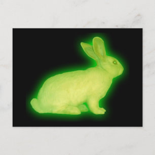 radioaktives Kaninchen Postkarte