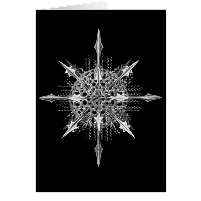 Radiolarians (Vorne)