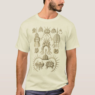 Radiolarians T-Shirt