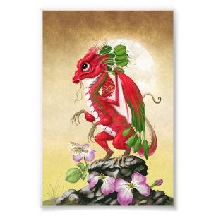 Radish Dragon 4x6 Print Fotodruck