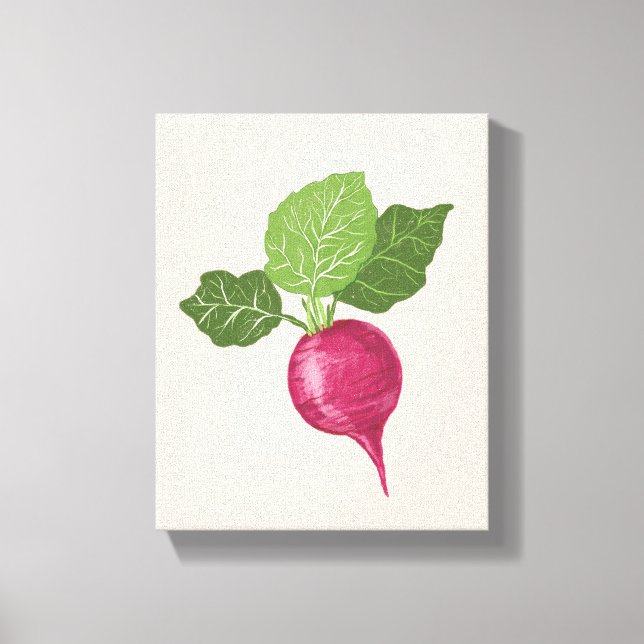 Radish kitchen wall decor (vegetable illustration) leinwanddruck (Vorderseite)