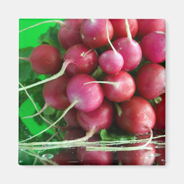 Radish Magnet (Vorne)