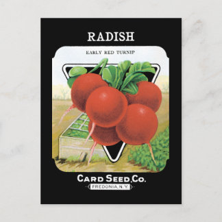 Radish Seed Pack Postkarte