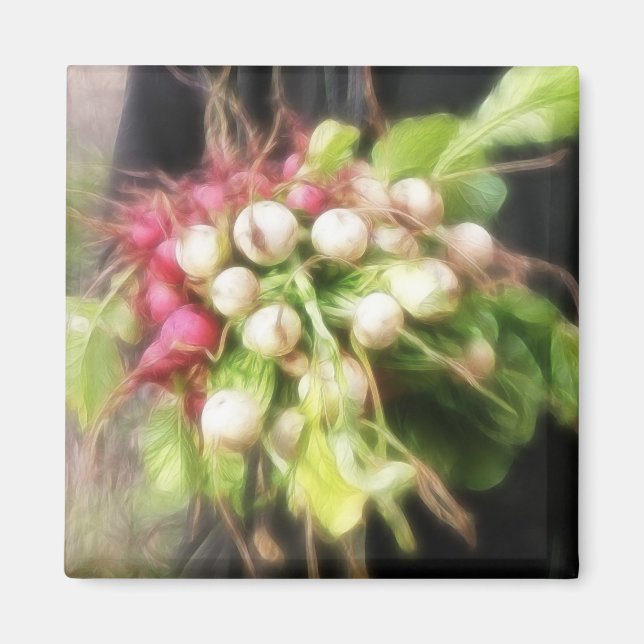 Radish & Turnip Magnet (Vorne)
