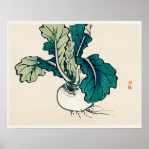 Radish von Kōno Bairei (1844-1895) Poster