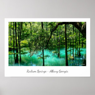Radium Springs ~ Albany Georgia Poster