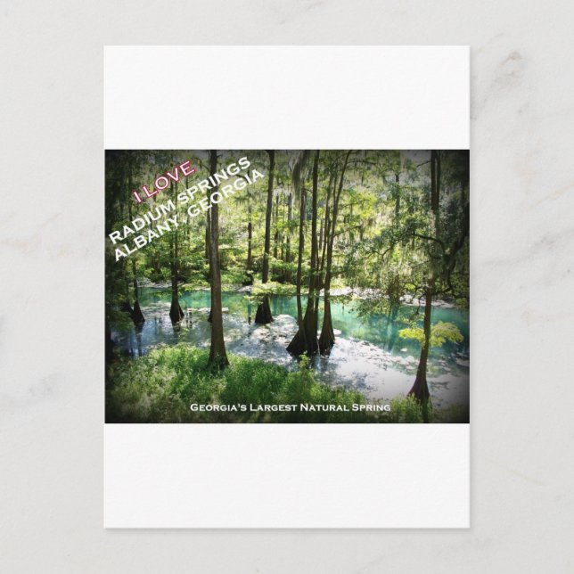 RADIUM SPRINGS - Albany, Georgia Postkarte (Vorderseite)