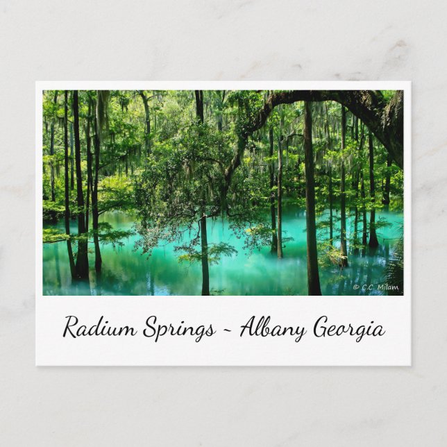 Radium Springs ~ Albany Georgia Postkarte (Vorderseite)