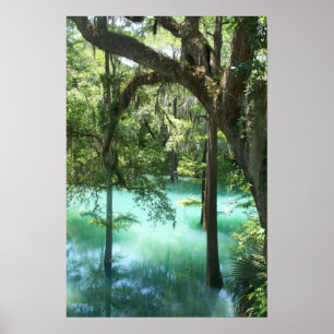 Radium Springs Beauty Poster