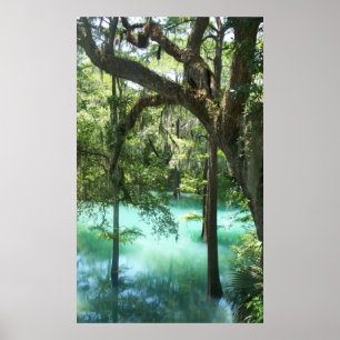 Radiumsprings am Flint River GA Poster