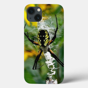 Radnetzspinne im Netz iPhone 13 Hülle