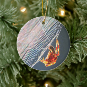 Radnetzspinne im Netz Keramik Ornament