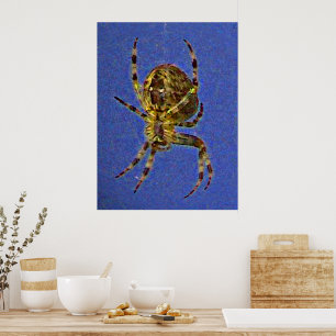 Radnetzspinne Poster