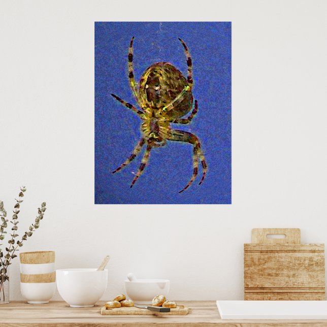 Radnetzspinne Poster (Küche)