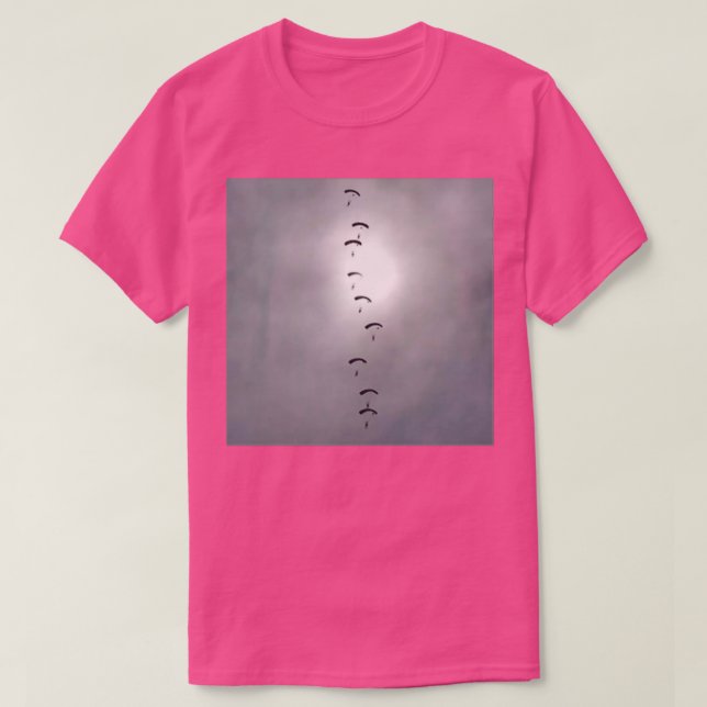 RAF Falcons Parachute Display T-Shirt (Design vorne)