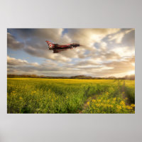 RAF Typhoon Eurofighter über Rapssamen c