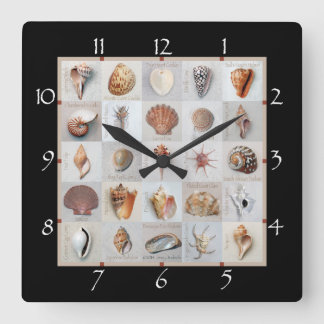 Raffinierte Muscheln Quadratische Wanduhr