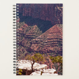 Rafinesque Uhren Planer