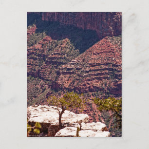 Rafinesque Uhren Postkarte