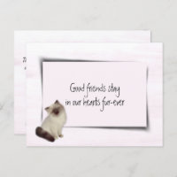 Rag Doll Cat Pet Beileid