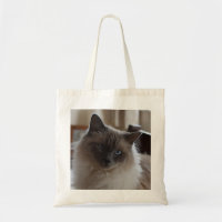 Ragdale Katzen-Tasche