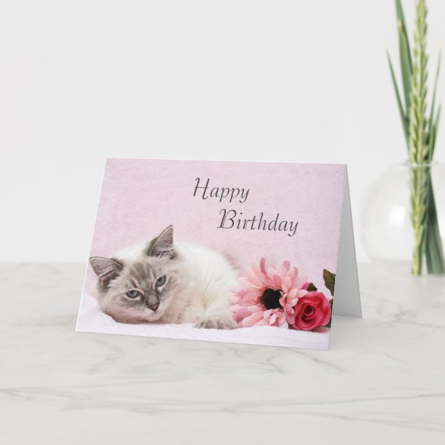 Ragdoll Birthday Card Karte (Vorderseite)