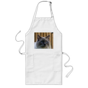 Ragdoll, blau lange schürze