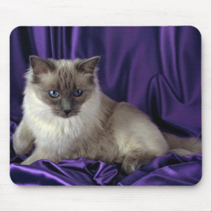 Ragdoll, blauer Punkt Mousepad