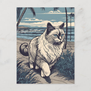 Ragdoll-Cat an einem tropischen Strand bei Sonnenu Postkarte