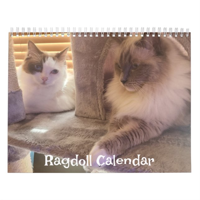 Ragdoll Cat Calendar Kalender (Titelbild)