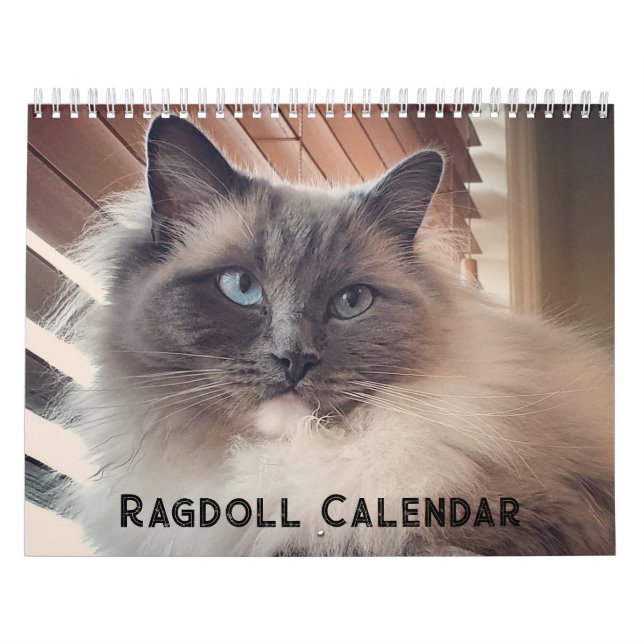 Ragdoll Cat Calendar Kalender (Titelbild)