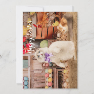 Ragdoll Cat Easter Grußkarte Feiertagskarte