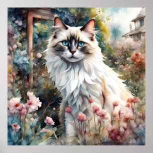 Ragdoll Cat in English Garden Poster