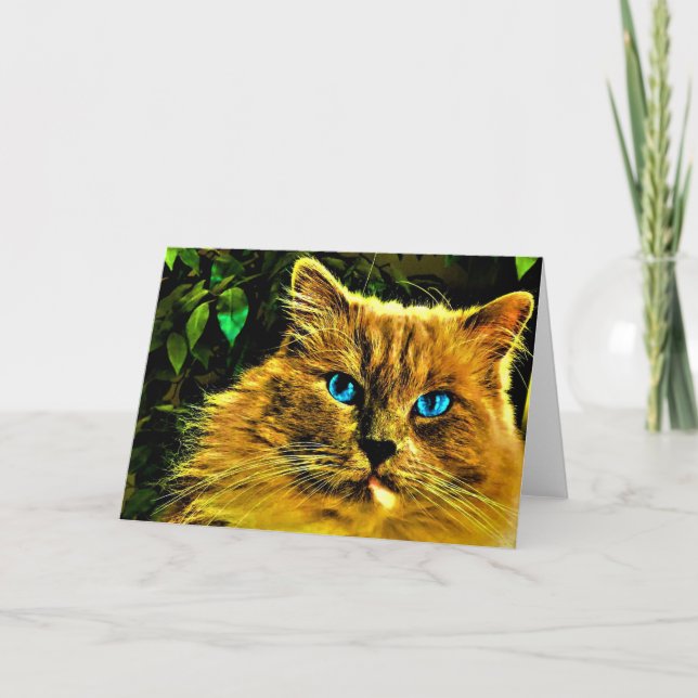 Ragdoll Cat, Karte (Vorderseite)