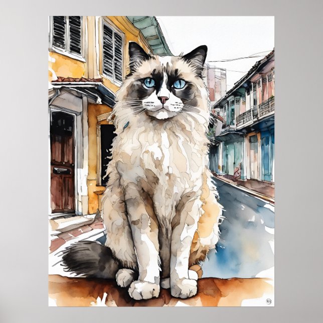 Ragdoll Cat - Katze Art Print Poster (Vorne)