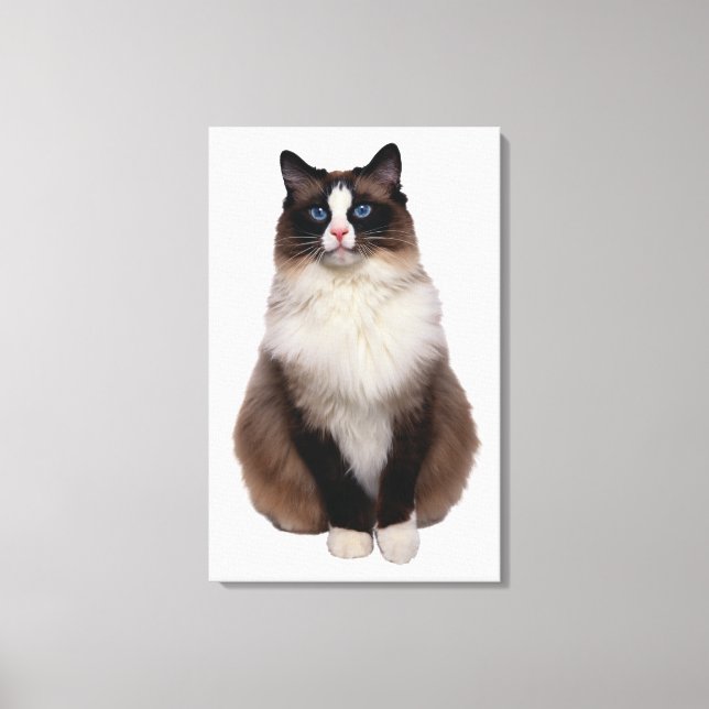 Ragdoll Cat Leinwanddruck (Vorderseite)