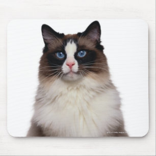 Ragdoll Cat Mousepad