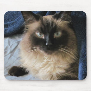 Ragdoll Cat Mousepad