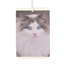 Ragdoll Cat Personalisiert Foto Air Freshener