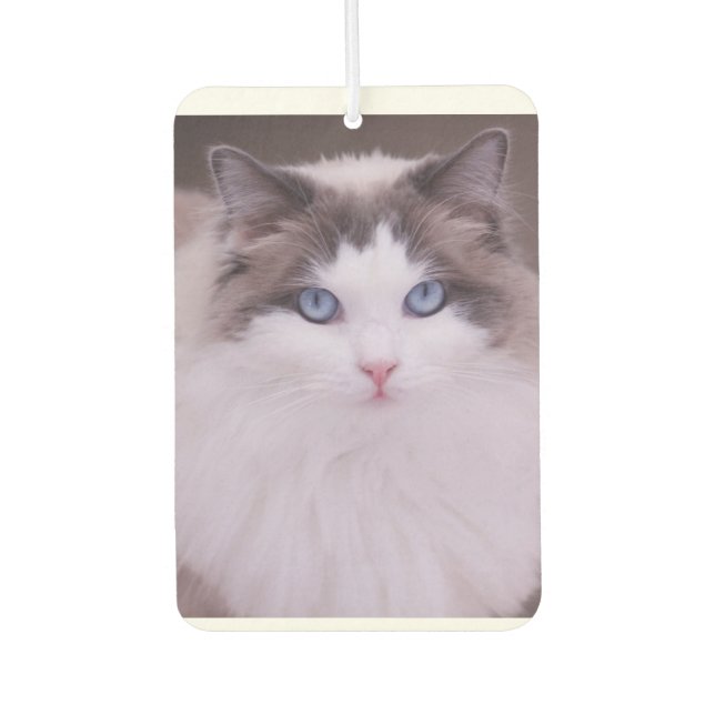 Ragdoll Cat Personalisiert Foto Air Freshener Autolufterfrischer (Vorderseite)