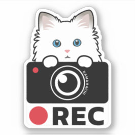 Ragdoll Cat Recording Vinyl Sticker Kamera Warnung
