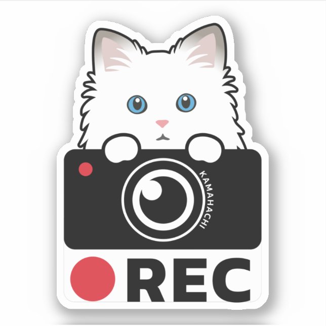 Ragdoll Cat Recording Vinyl Sticker Kamera Warnung (Vorderseite)