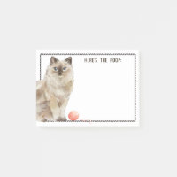 Ragdoll Cat | Text hinzufügen | Hier ist der Kack