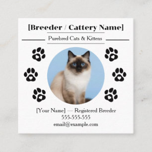 Ragdoll-Cattery Maßgeschneiderte Katzenzüchter Unt Quadratische Visitenkarte