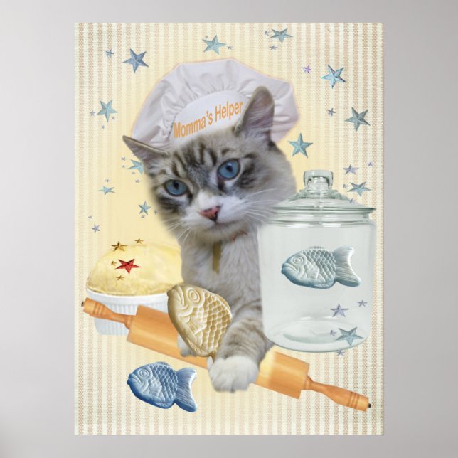 Ragdoll Cookie Jar Prints Poster (Vorne)