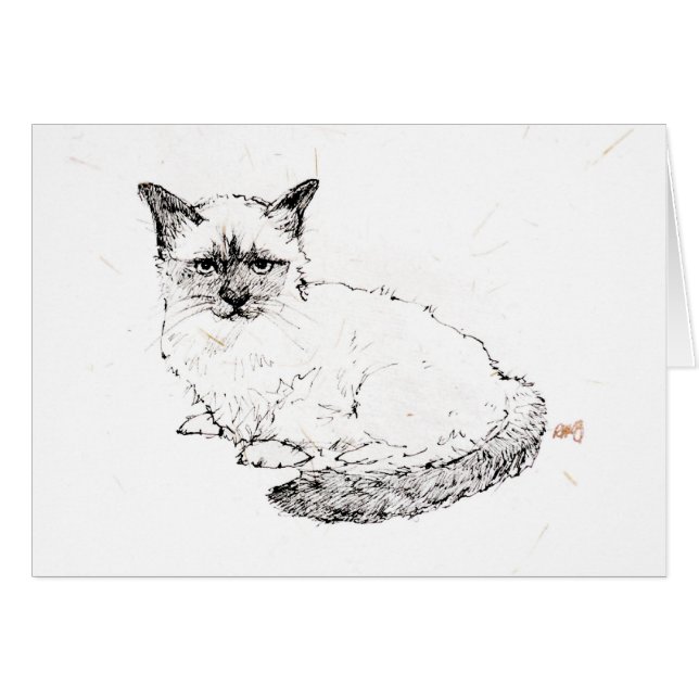 Ragdoll Kätzchen (Vorderseite (Horizontal))